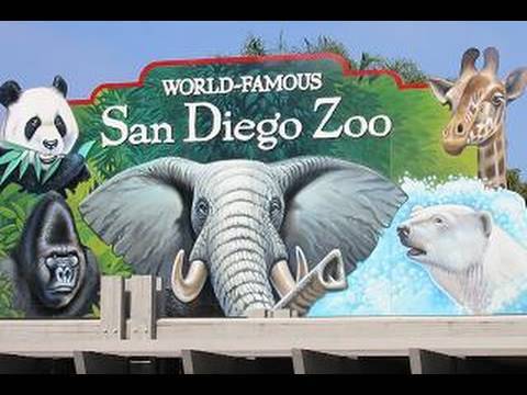 Image result for san diego zoo
